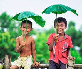 Two boys hold taro leaves above their heads in Bangladesh.